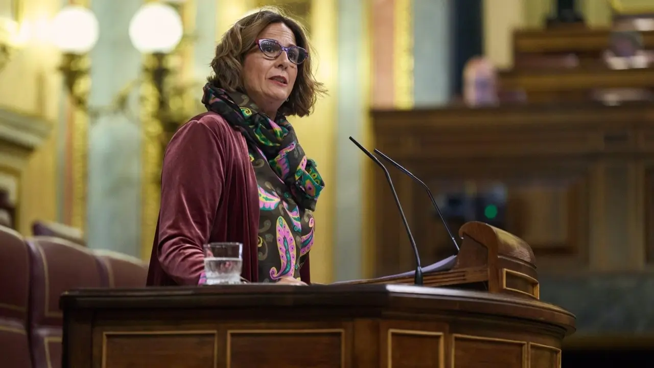 La diputada Isabel Borrego