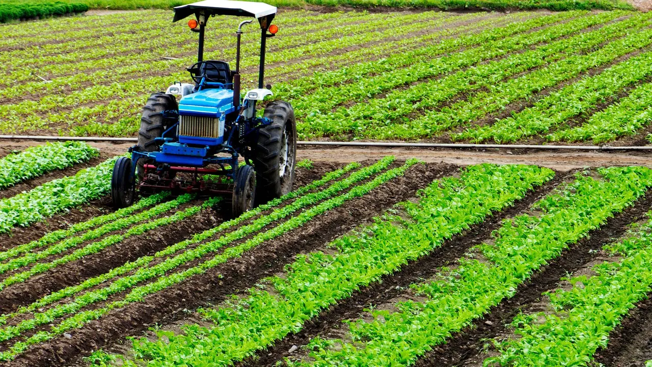 Santander apoya al sector agroalimentario murciano con
150 millones &euro; en 2023, un 13% m&aacute;s