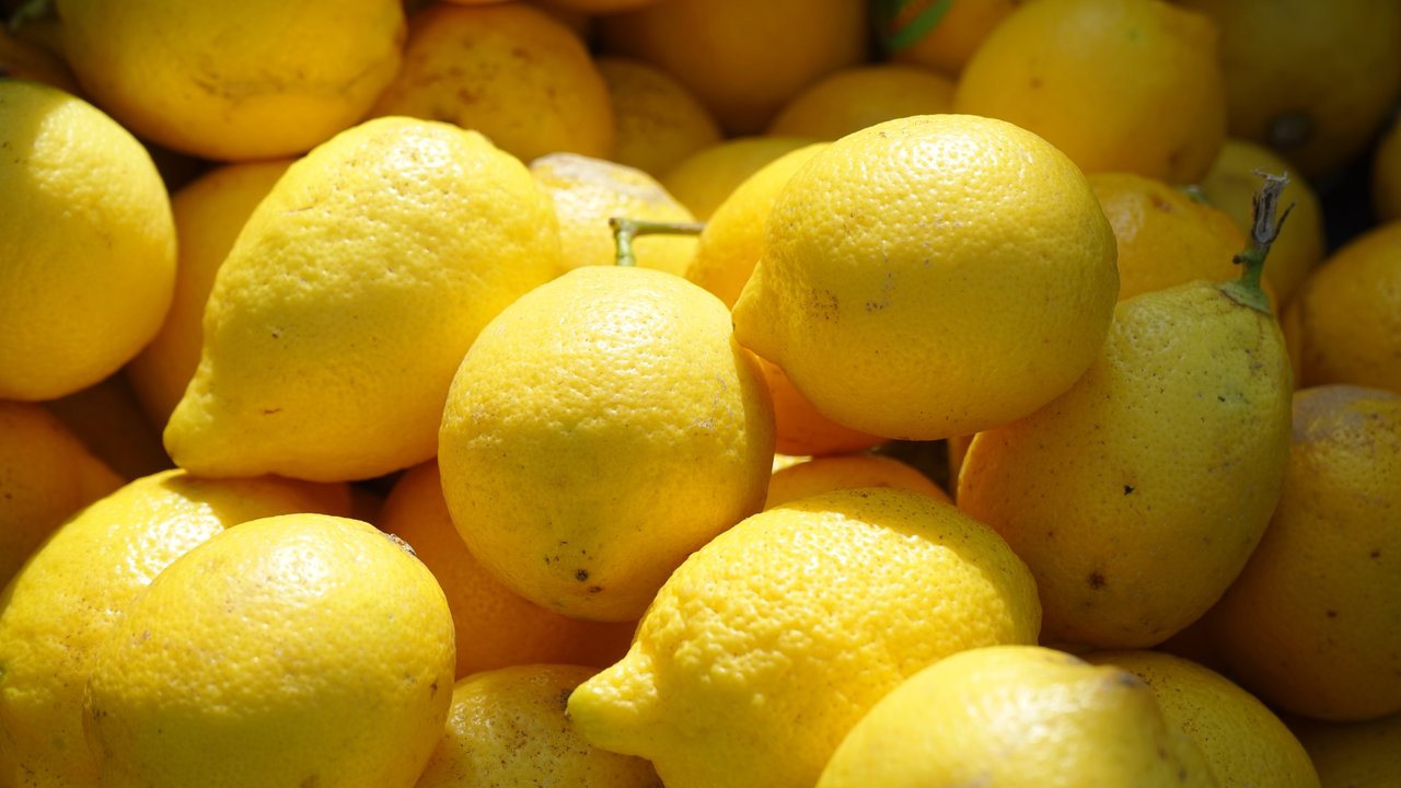 Piden ayudas para los productores de limón