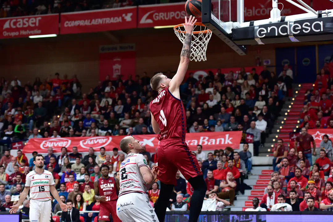 Nemanja Radovic