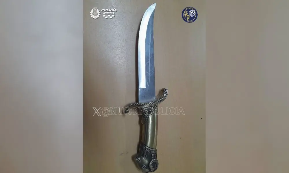 Machete usado por un hombre que amenaz&oacute; a una mujer en el barrio de San Antol&iacute;n de Murcia (foto: Polic&iacute;a Local de Murcia)