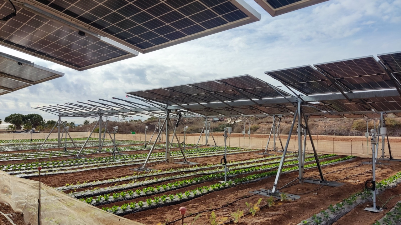 Sistemas agrovoltaicos