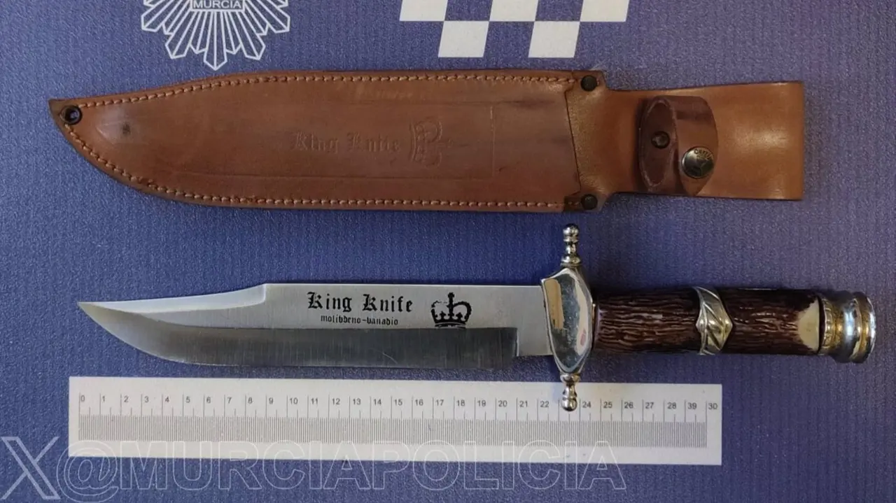 Machete de 22 cent&iacute;metros de hoja intervenido (foto: Polic&iacute;a Local de Murcia)