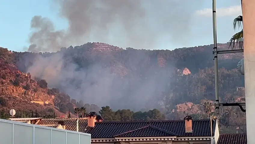 Incendio en la pedan&iacute;a murciana de Torreag&uuml;era (foto: La 7)