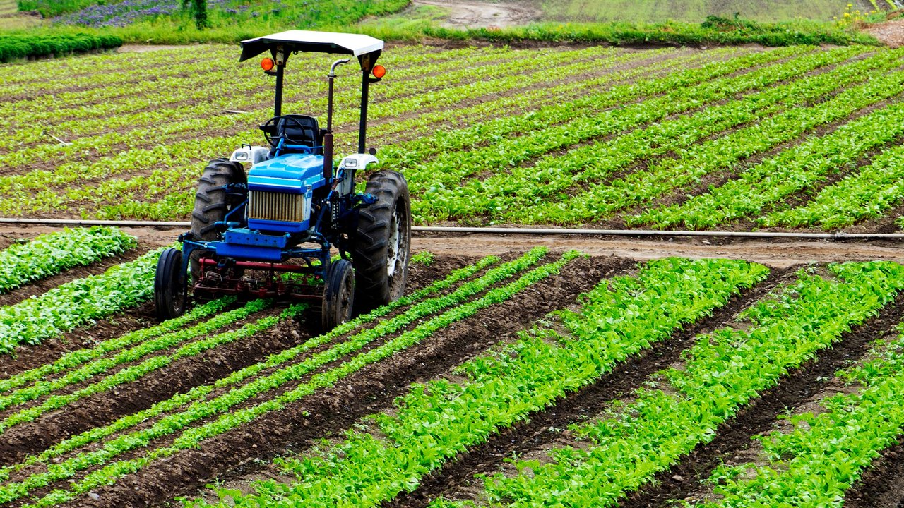 MURCIA.-El Plan Estratégico de la Política Agraria Común no reconoce las condiciones agroclimáticas de la Región de Murcia