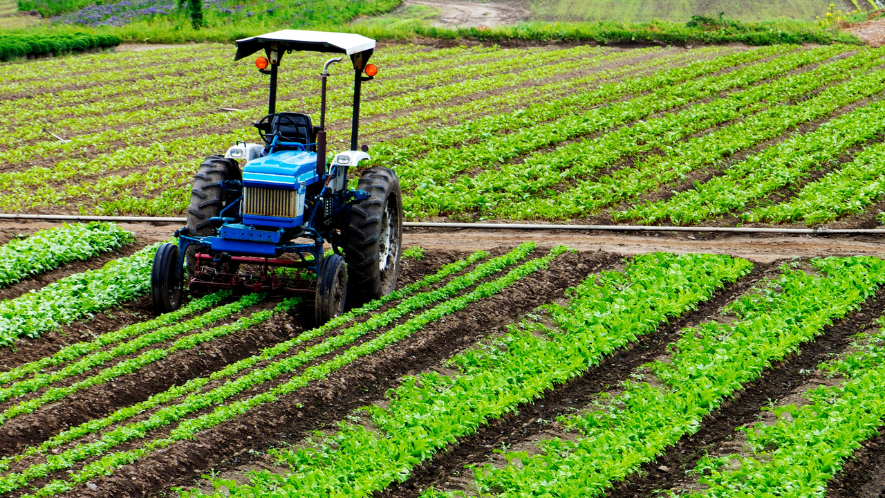 MURCIA.-El Plan Estrat&eacute;gico de la Pol&iacute;tica Agraria Com&uacute;n no reconoce las condiciones agroclim&aacute;ticas de la Regi&oacute;n de Murcia