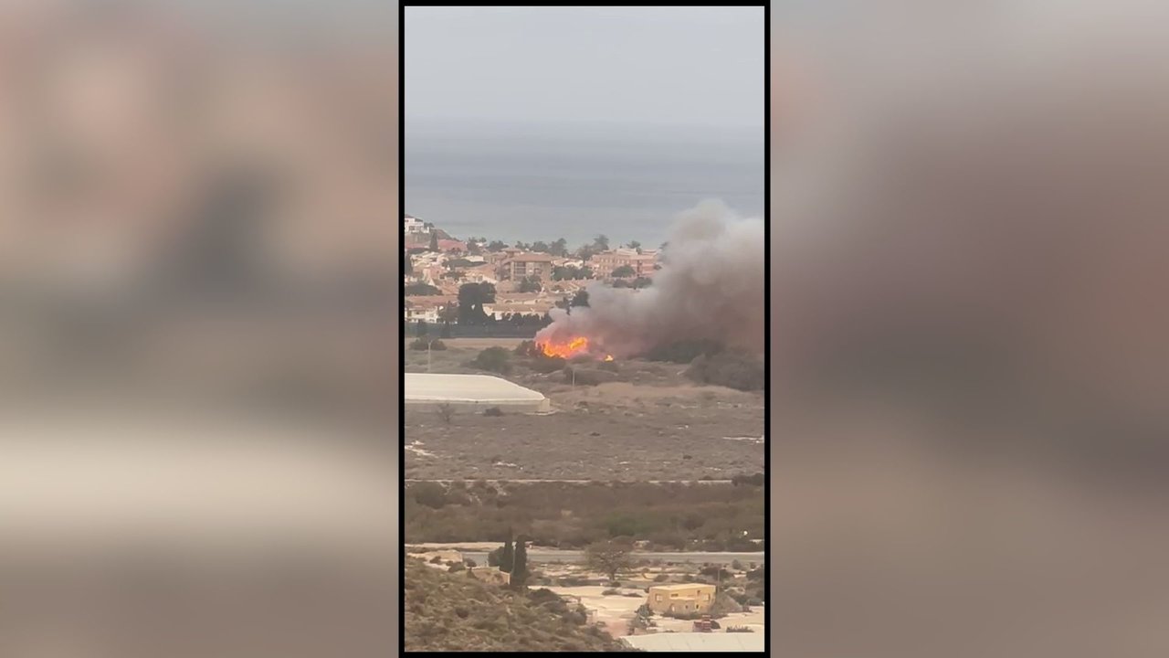 Incendio en la rambla de las Moreras del municipio de Mazarrón (foto: La 7)