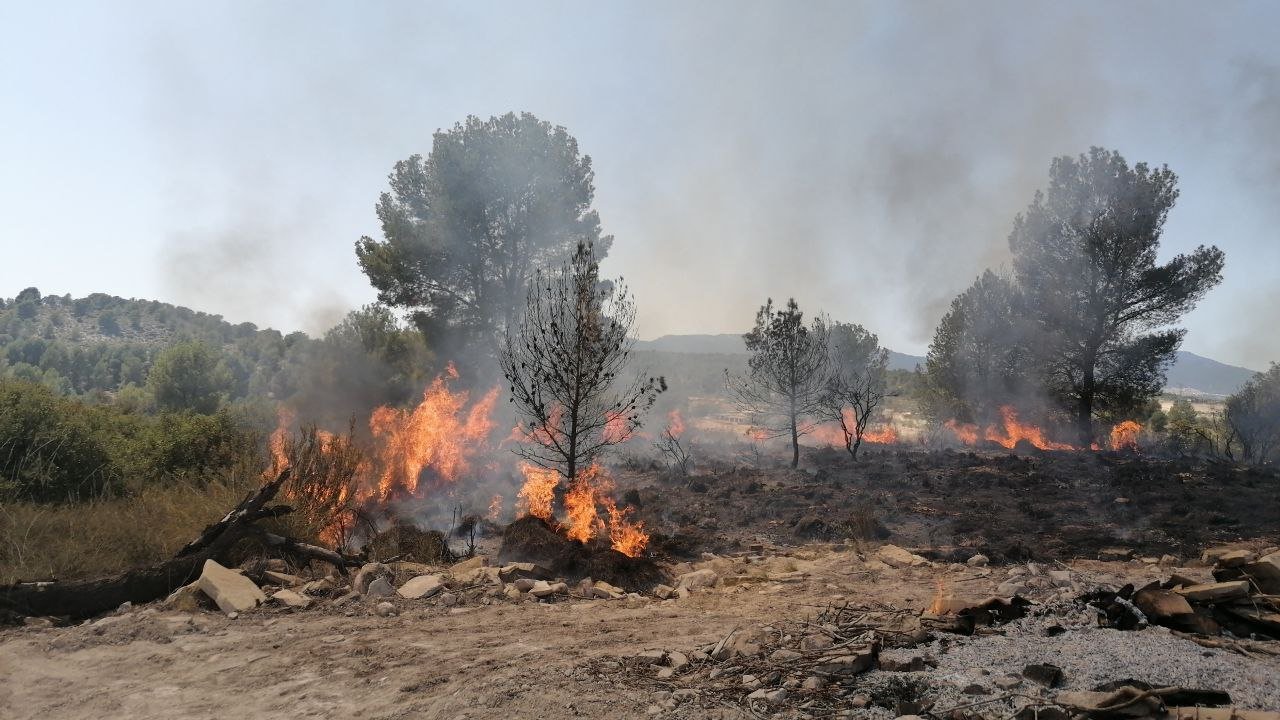 Imagen del incendio en un cerro de Moratalla (foto: La 7)