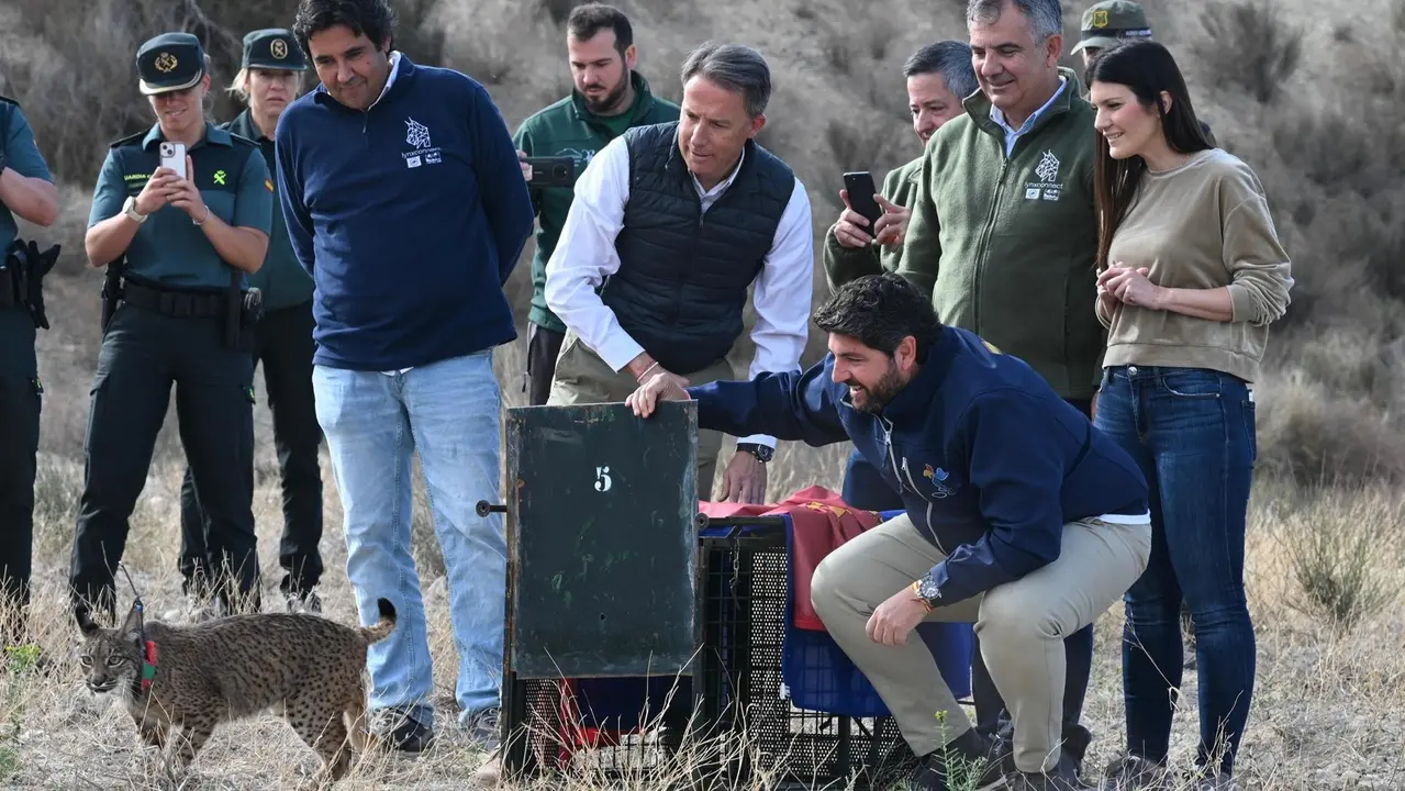 El presidente del Gobierno regional, Fernando L&oacute;pez Miras, participa en la suelta de dos nuevos ejemplares de lince ib&eacute;rico en las Tierras Altas de Lorca (foto: CARM)