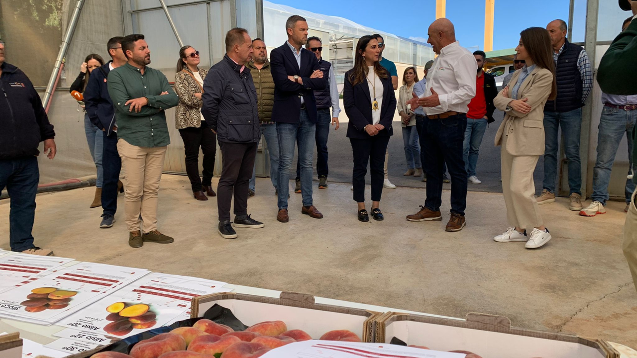Imagen de la consejera Sara Rubira en la visita a Viveros del Sureste que comercializan las nuevas variedades desarrolladas por el IMIDA