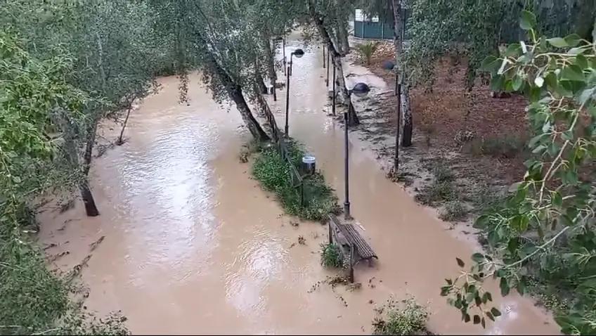 El Segura desbordado a la altura de Abar&aacute;n en la ma&ntilde;ana de este martes (foto: La 7)