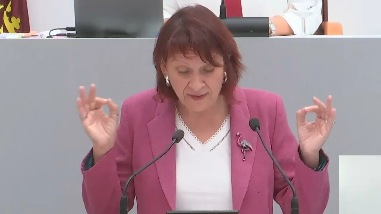 Mar&iacute;a Mar&iacute;n durante su intervenci&oacute;n en la Asamblea Regional