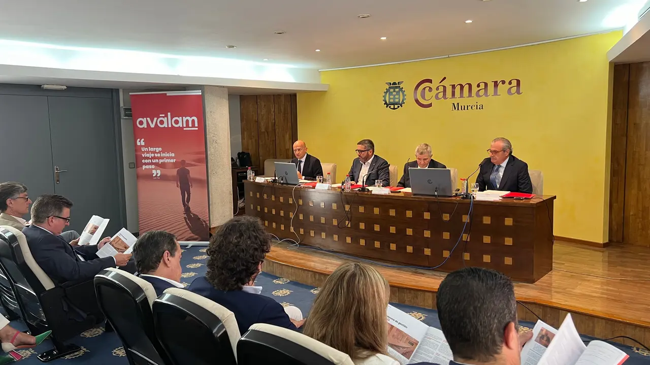 &Uacute;ltima junta general de Av&aacute;lam (foto: Av&aacute;lam)