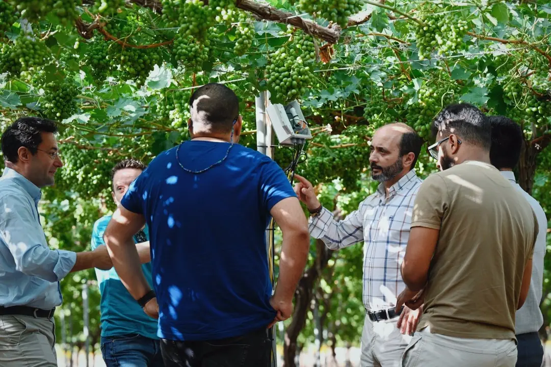 Visita a una finca con tecnolog&iacute;a agr&iacute;cola. - CARM