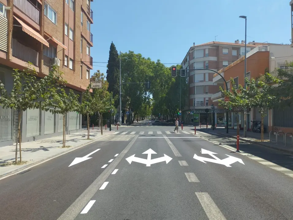 Calle Pintor Pedro Flores