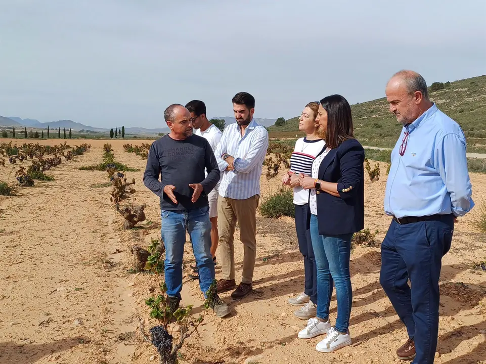 La consejera Sara Rubira visita un cultivo de vi&ntilde;edo en Jumilla (foto: CARM)