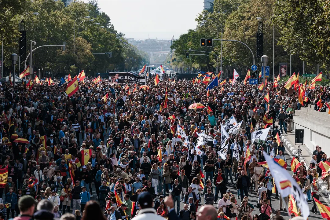 Miles de personas durante una concentraci&oacute;n para pedir elecciones generales, en la Plaza de Castilla. La protesta est&aacute; convocada por la Plataforma por la Espa&ntilde;a Constitucional, constituida por un centenar de asociaciones c&iacute;vicas - Carlos Luj&aacute;n