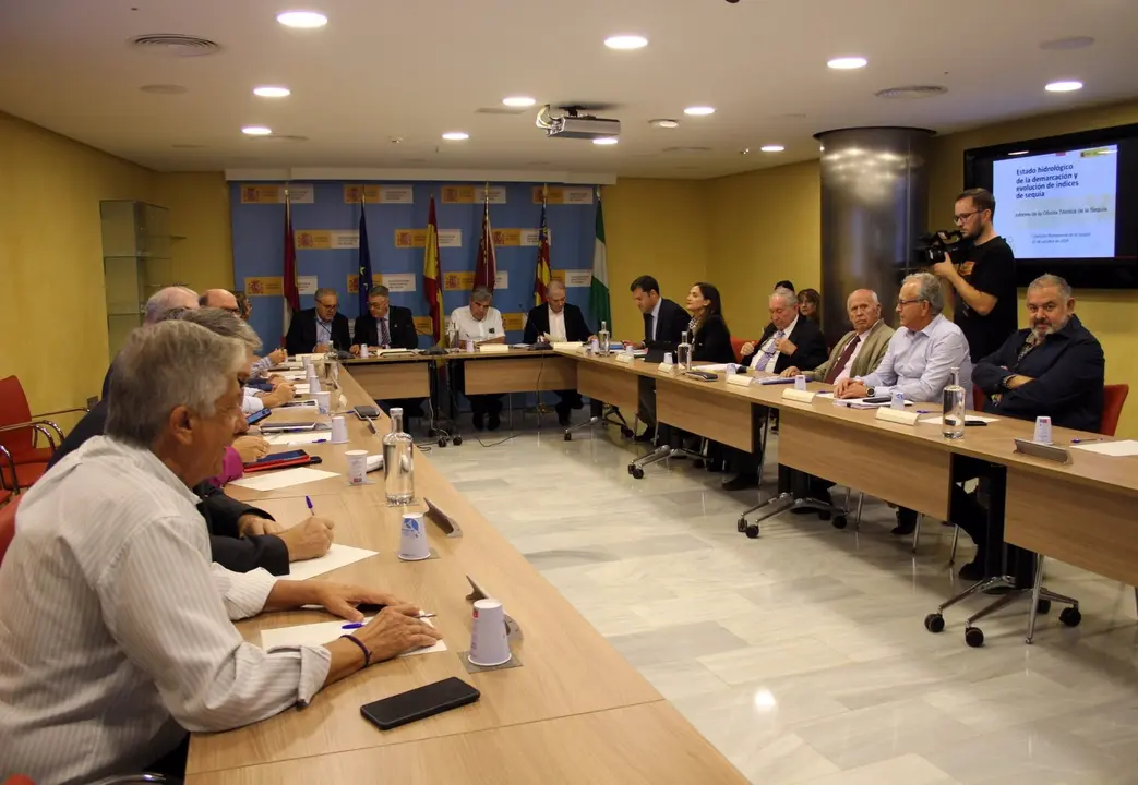 Reuni&oacute;n de la CHS