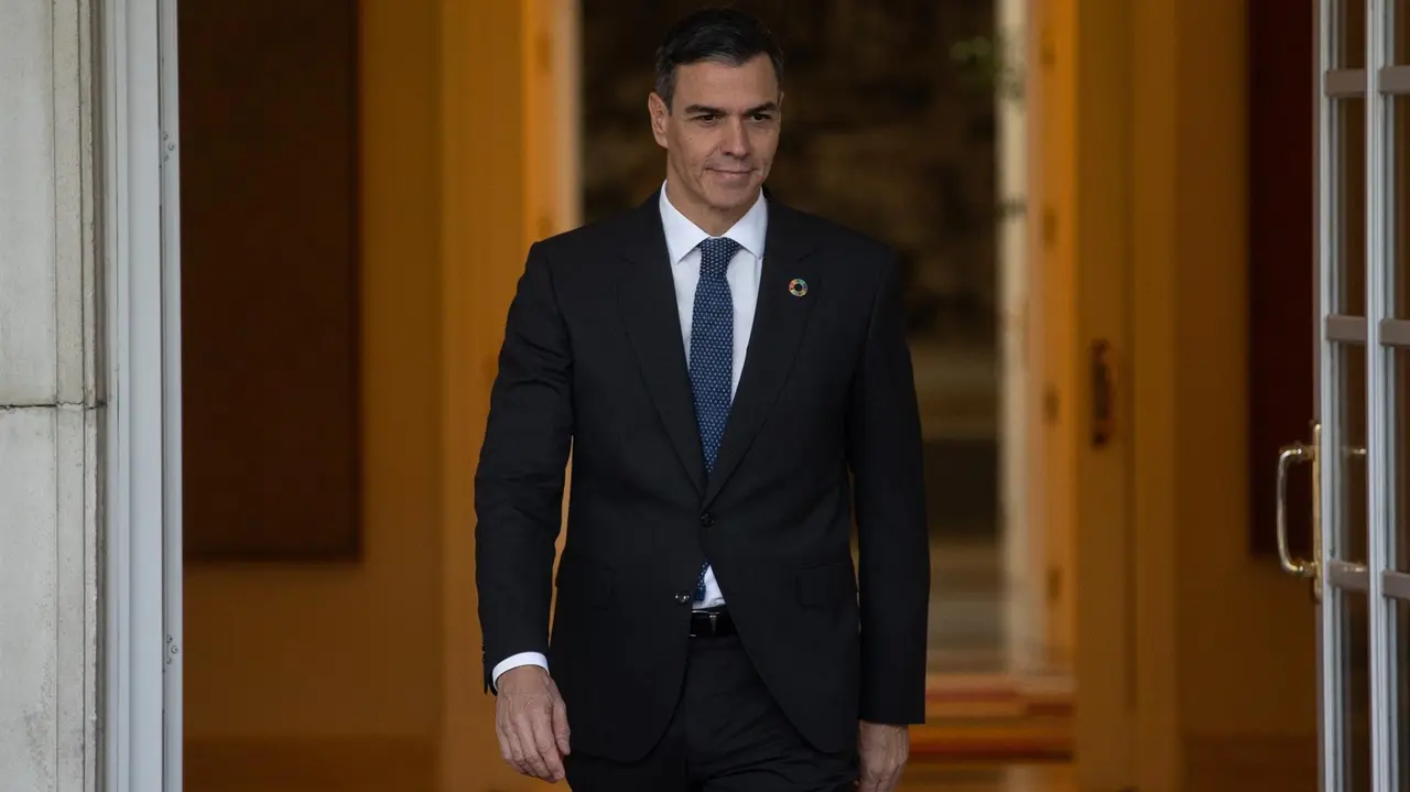 Pedro S&aacute;nchez