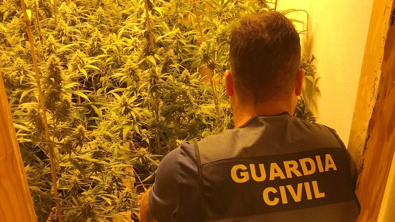 Operaci&oacute;n de la Guardia Civil en Totana (foto: GC)