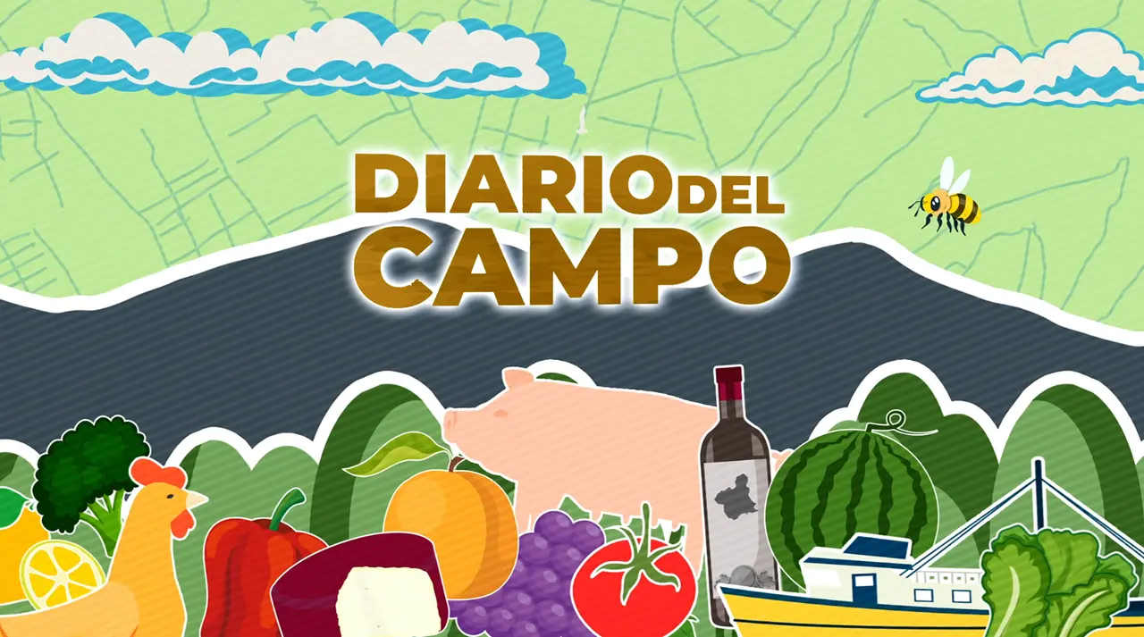 DIARIO DEL CAMPO3