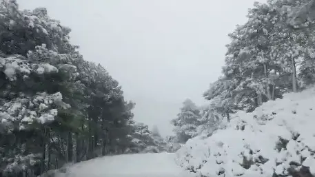 Nieve en Cuerda de la Gitana (Moratalla)