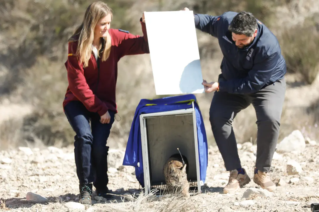 Suelta de dos linces en el parque de Protecci&oacute;n Civil de Zarcilla
