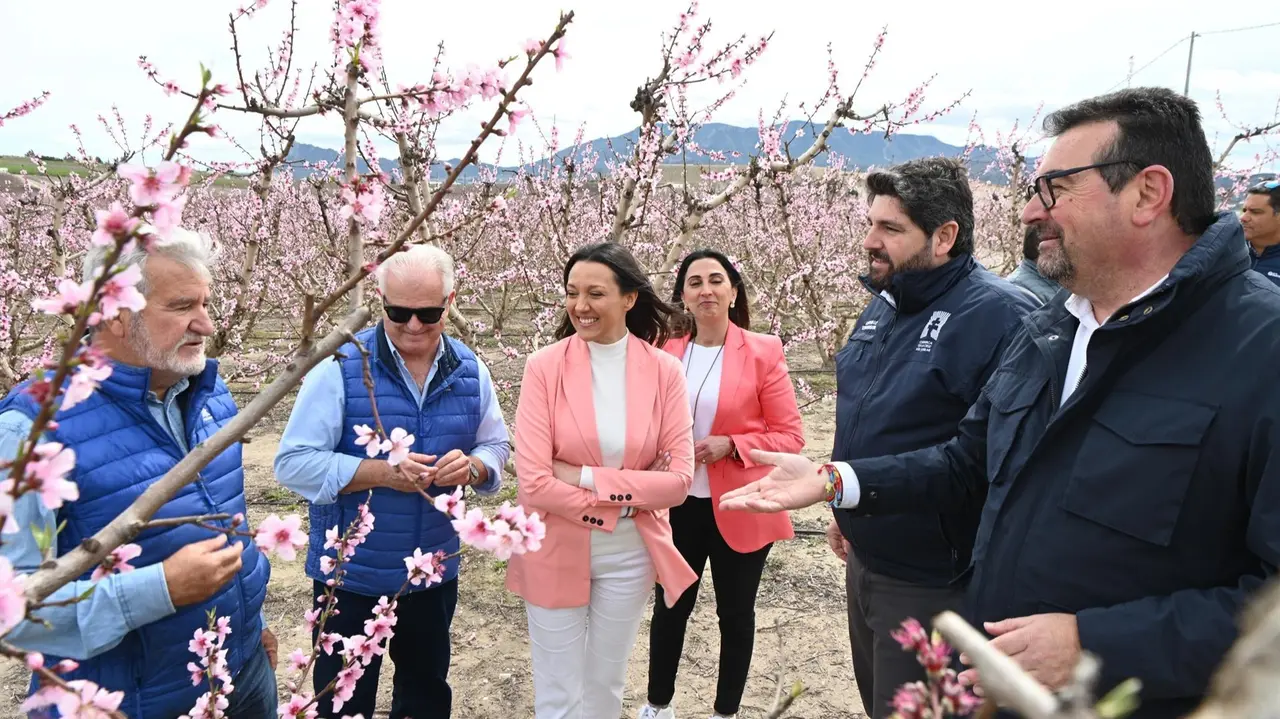 Floraci&oacute;n de Cieza (foto: CARM)