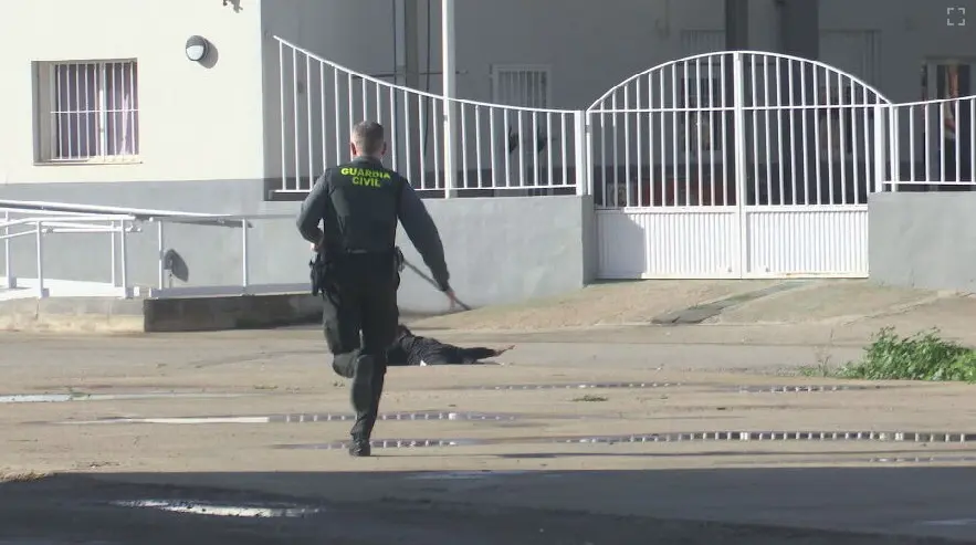 Detenido un hombre por disparar presuntamente contra su exmujer con un arma de fuego en Cartagena