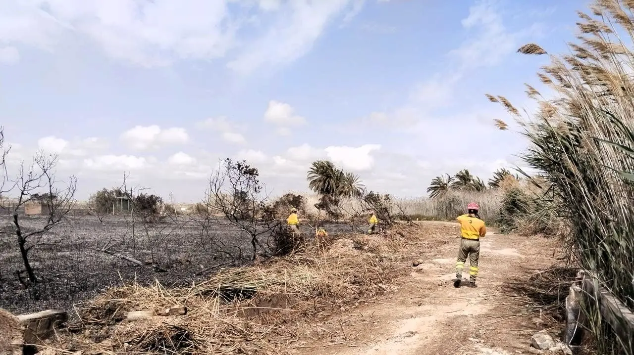 Imagen facilitada por la Unidad de Defensa contra los Incendios Forestales