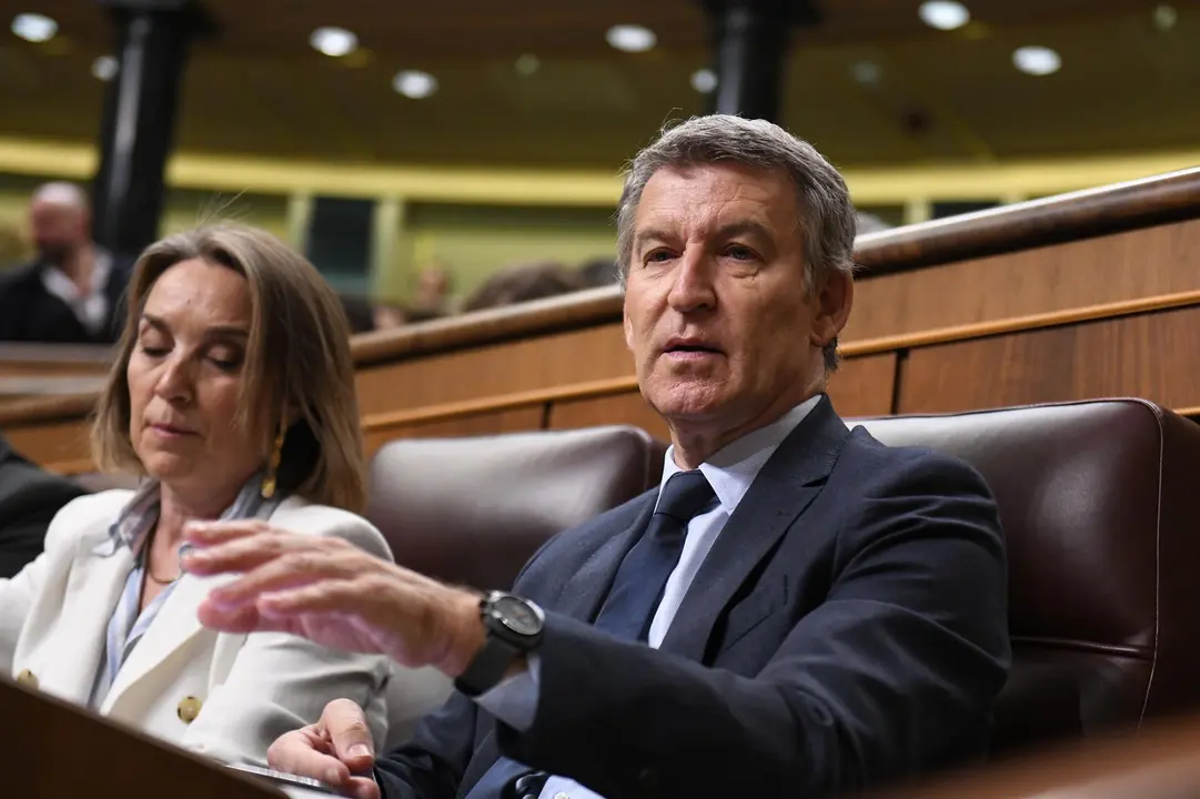 El l&iacute;der del Partido Popular, Alberto N&uacute;&ntilde;ez Feij&oacute;o, en su esca&ntilde;o en el Congreso de los Diputados
