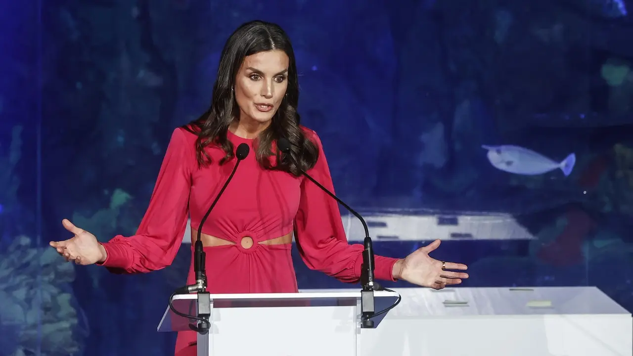La Reina Letizia interviene en el acto conmemorativo del D&iacute;a Mundial de la Cruz Roja y de la Media Luna Roja a 10 de mayo de 2022, en Valencia, Comunidad Valenciana (foto: EP)