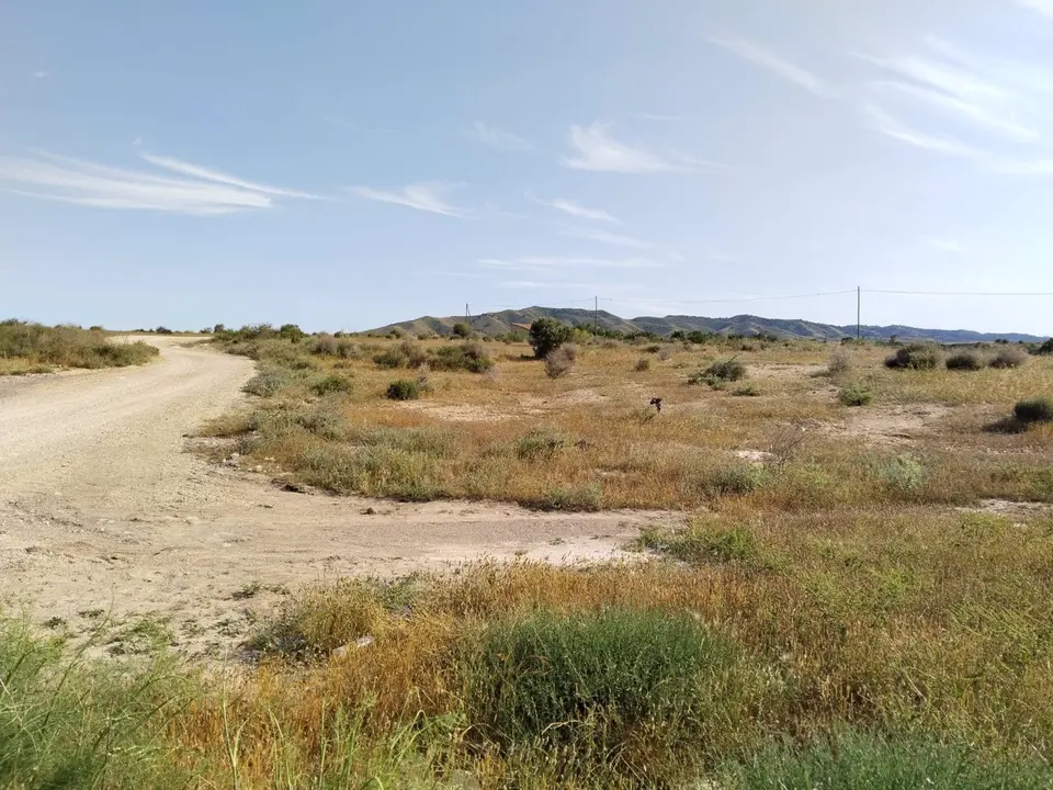 Yacimiento en Totana
