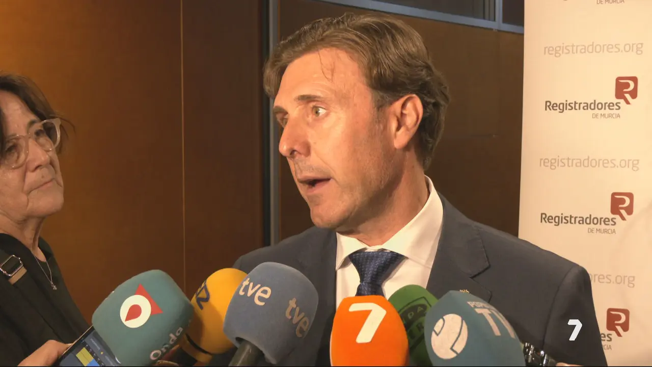 El presidente del Tribunal Superior de Justicia de Murcia (TSJMU), Manuel Luna (foto: La 7)
