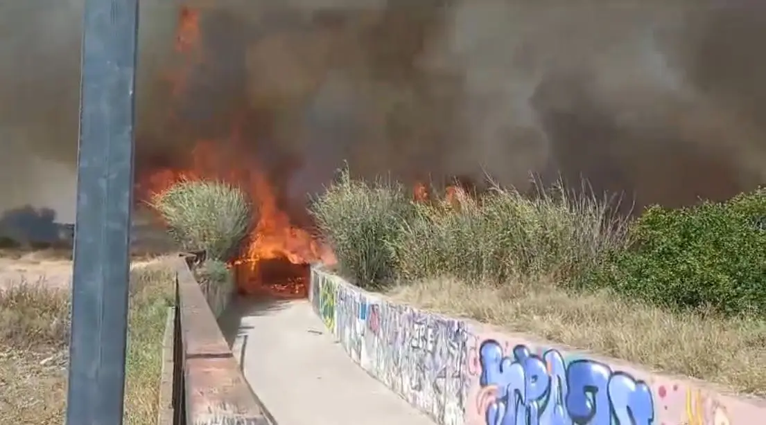 Incendio de matorrales en La Alberca