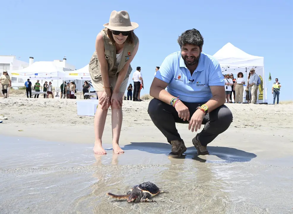 El presidente del Gobierno regional, Fernando L&oacute;pez Miras, participa en la suelta de 30 tortugas bobas en La Manga