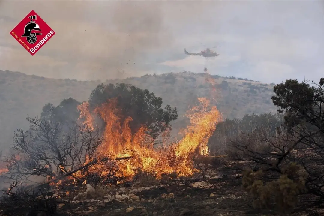 Incendio forestal
