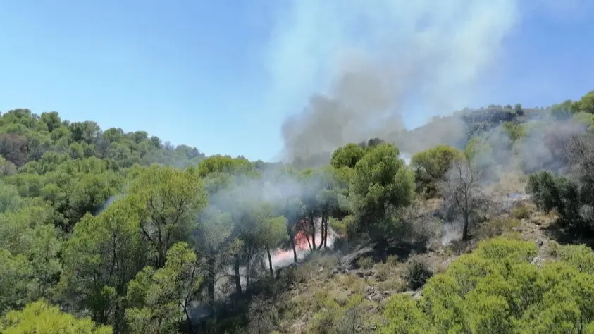 Incendio en Sierra Espu&ntilde;a (foto: 112)