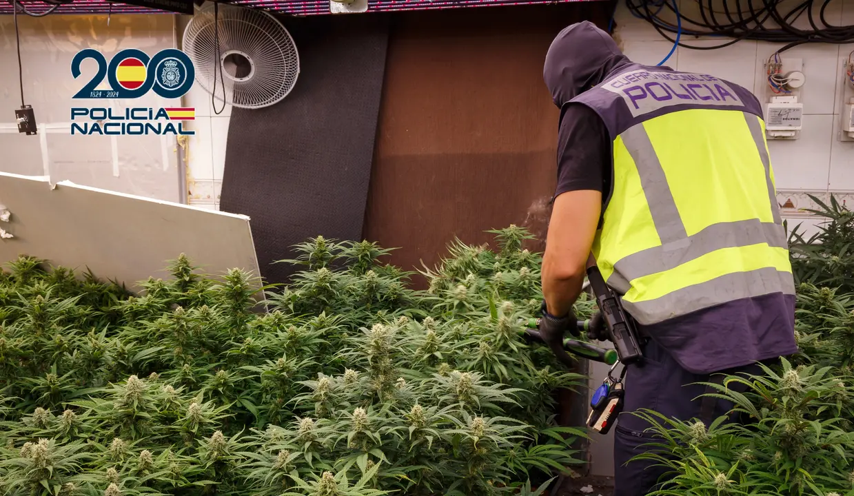 Operaci&oacute;n de Polic&iacute;a Nacional (foto: PN)