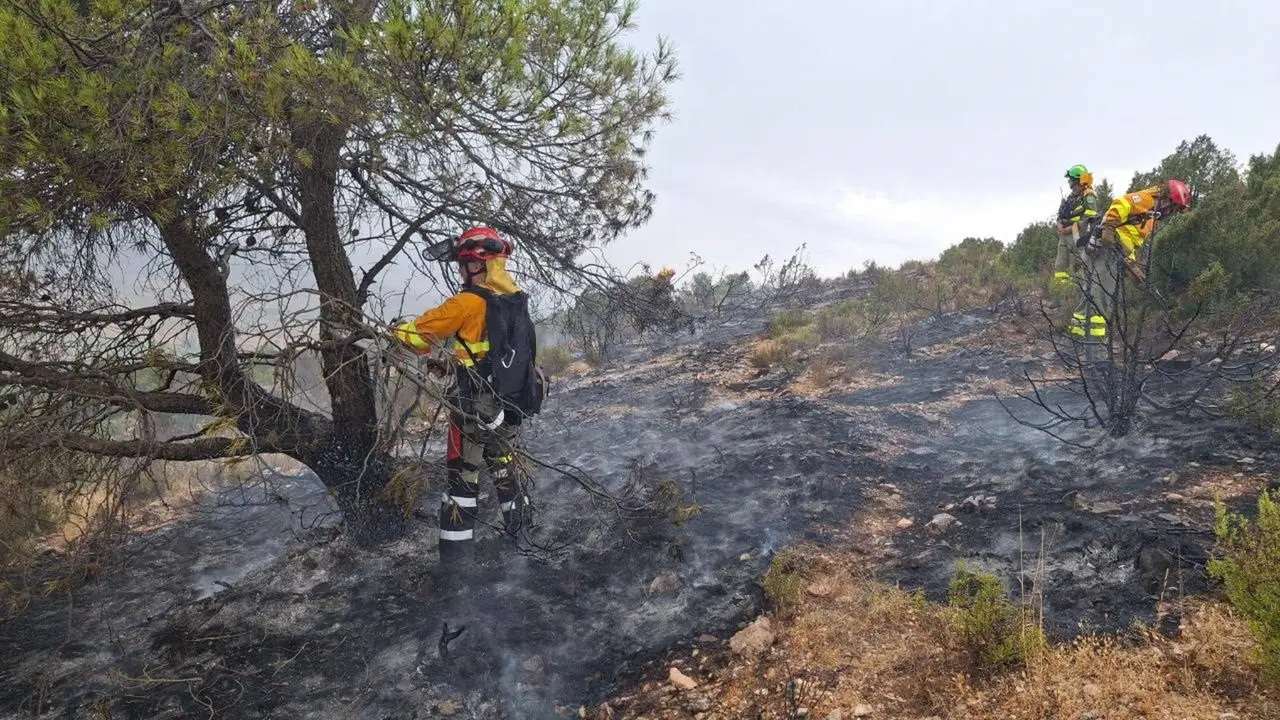 Imagen del incendio El Sabinar de Moratalla (foto: La 7)