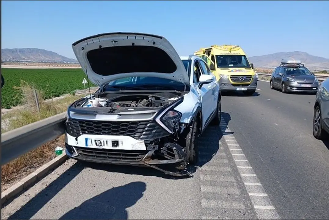 Accidente de tr&aacute;fico en la A-7 a la altura de Alhama (foto: 061)