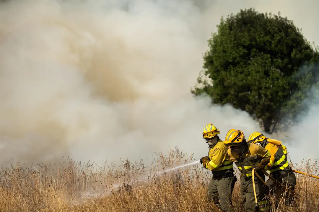Los bomberos trabajan para extinguir uno de los incendios que se ha producido en Castilla y Le&oacute;n (foto: EP)