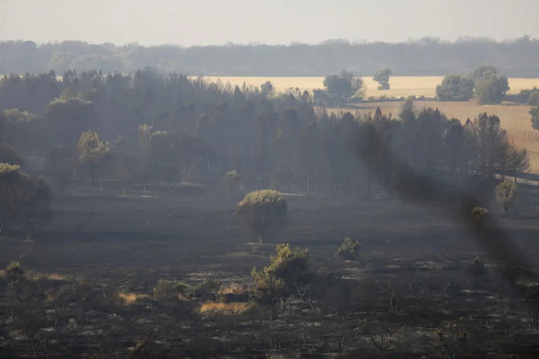 Tierra quemada en un monte entre Villal&iacute;s de la Valduerna y QUintana y Congosto, tras un incendio, a 13 de agosto de 2025, en Quintana y Congosto, Le&oacute;n, Castilla y Le&oacute;n,