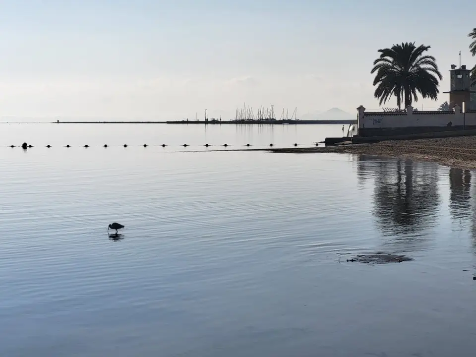 Playa de Los Urrutias