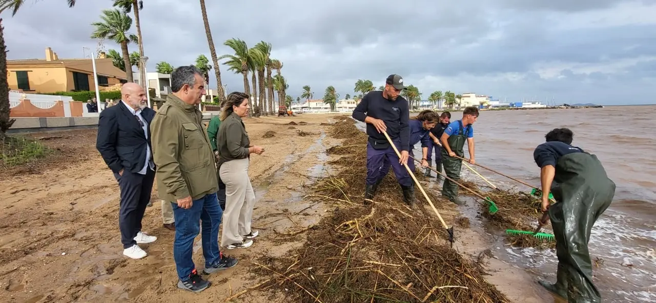 Retirada de biomasa del Mar Menor (foto: La 7)