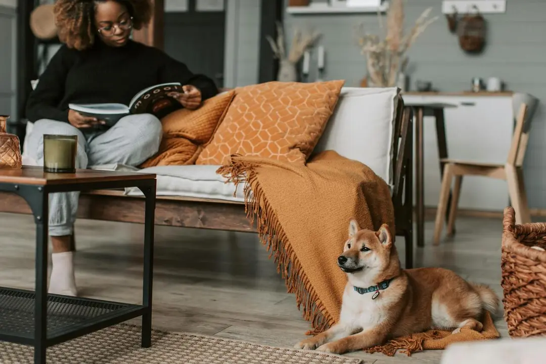 Cinco ideas f&aacute;ciles y efectivas para decorar tu casa en oto&ntilde;o