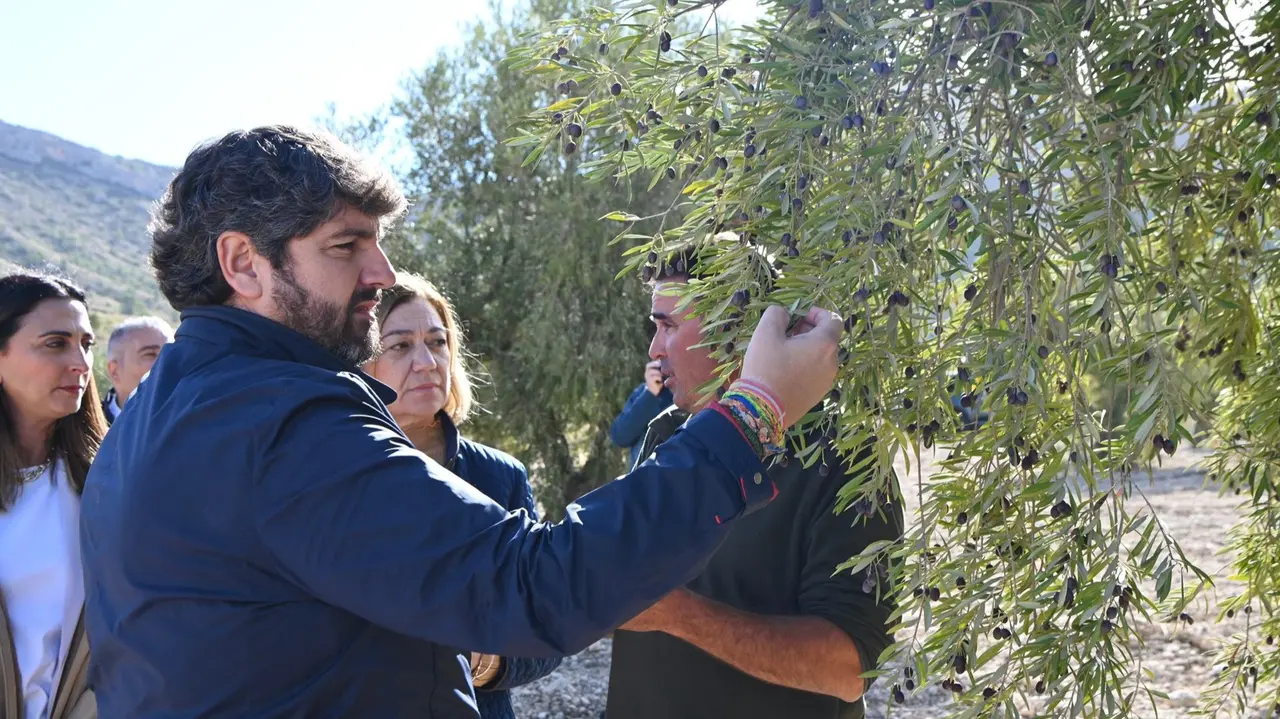El presidente de la Comunidad, Fernando L&oacute;pez Miras, visita en Jumilla una finca de olivos de secano