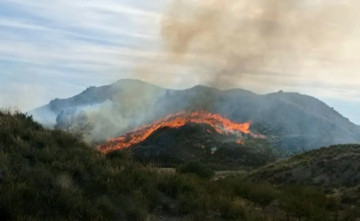 Incendio en un paraje de la pedan&iacute;a lorquina de Zarcilla de Ramos (foto: 112 Lorca)