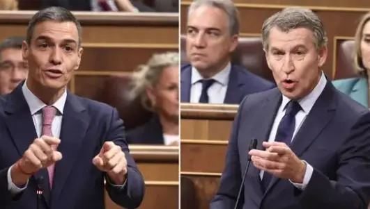 Pedro S&aacute;nchez y Alberto N&uacute;&ntilde;ez Feij&oacute;o en el Congreso (foto: EP)