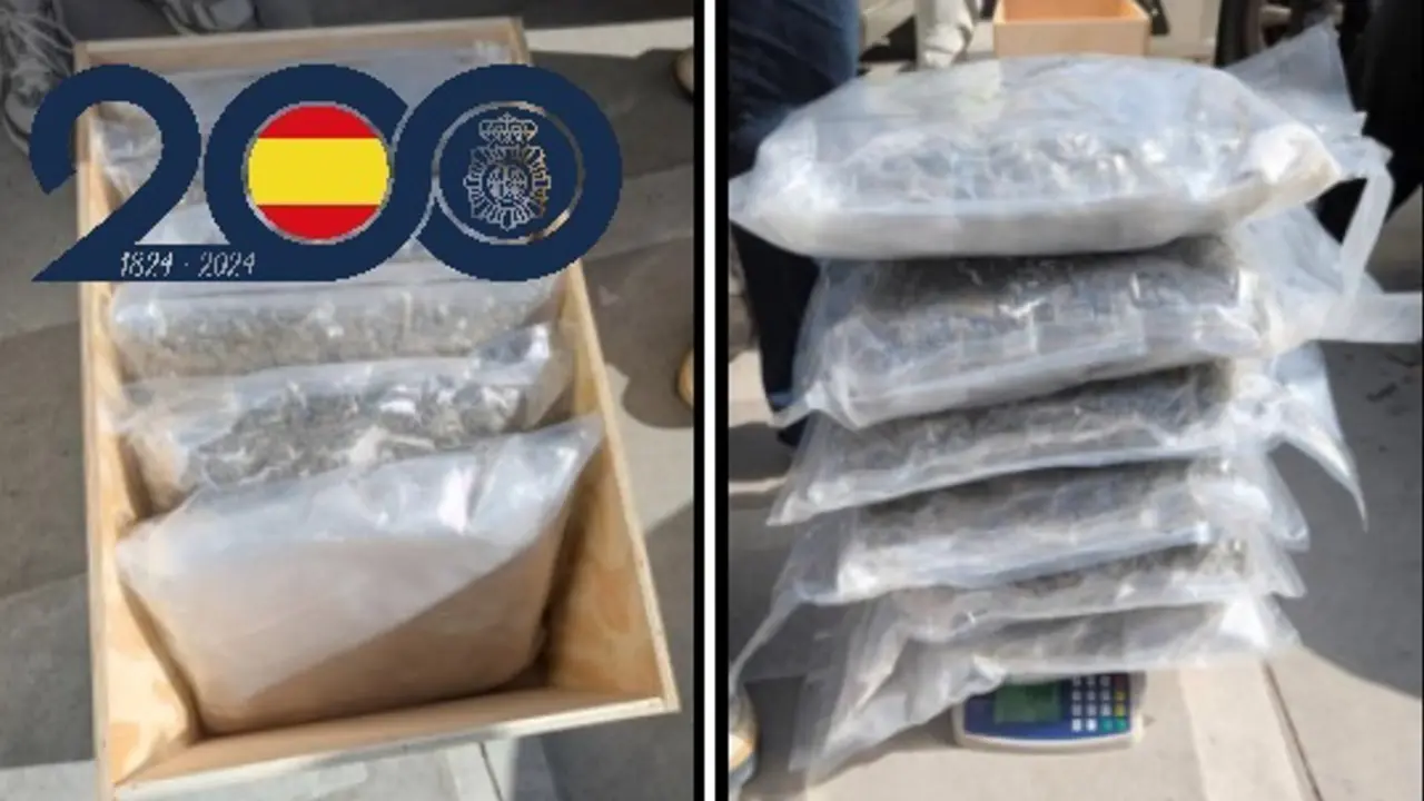 Detenidos dos hombres en Murcia por pretender enviar marihuana a Alemania por una empresa de paqueter&iacute;a (foto: PN)